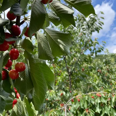 Couette-café La Riviera Bed & Breakfast 3*