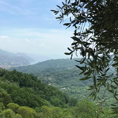 La Riviera Bed & Breakfast