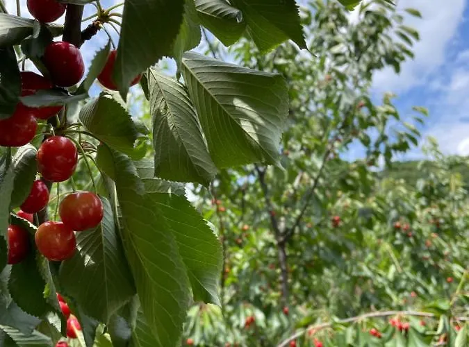 Bed & Breakfast La Riviera Bed & Breakfast 3*