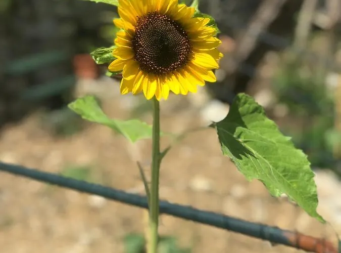 La Riviera Bed & Breakfast Bed & Breakfast