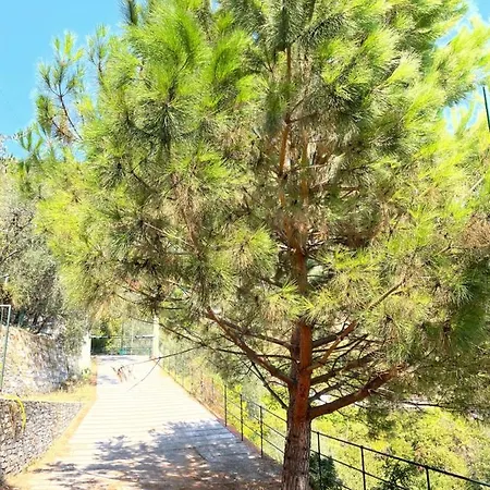 La Riviera Bed & Breakfast 3* Rapallo