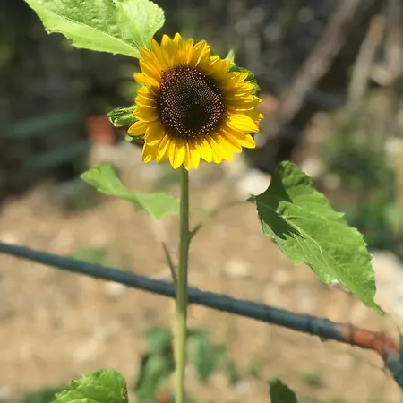 La Riviera Bed & Breakfast Oda ve Kahvaltı