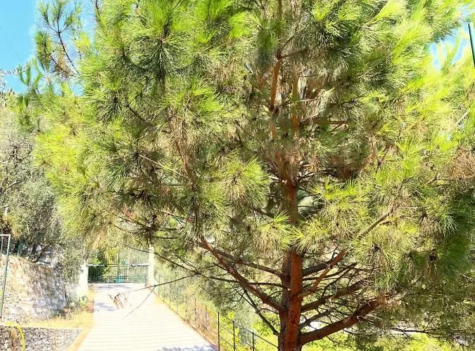 La Riviera Bed & Breakfast 3* Rapallo