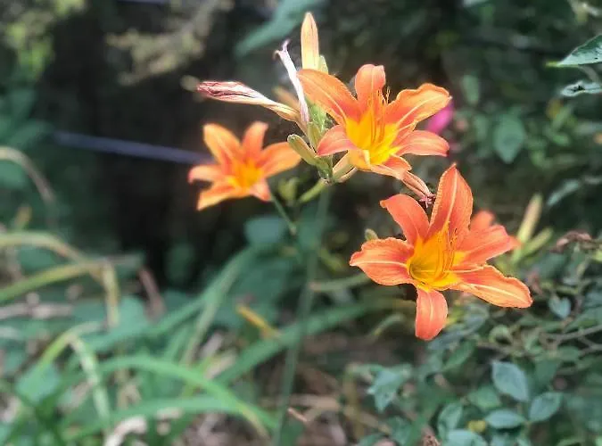 Bed & Breakfast La Riviera Bed & Breakfast 3*