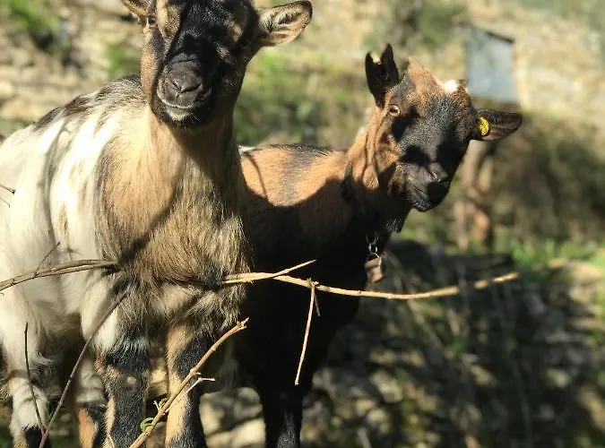 La Riviera Bed & Breakfast 住宿加早餐酒店 拉帕洛